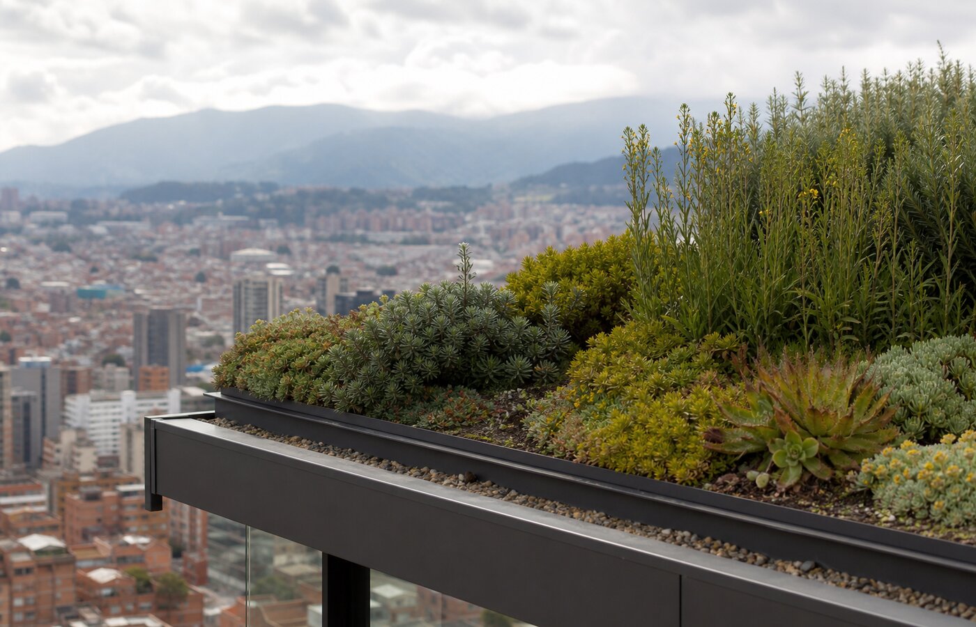 Cubierta verde intensiva con plantas nativas y vista de Bogotá al fondo